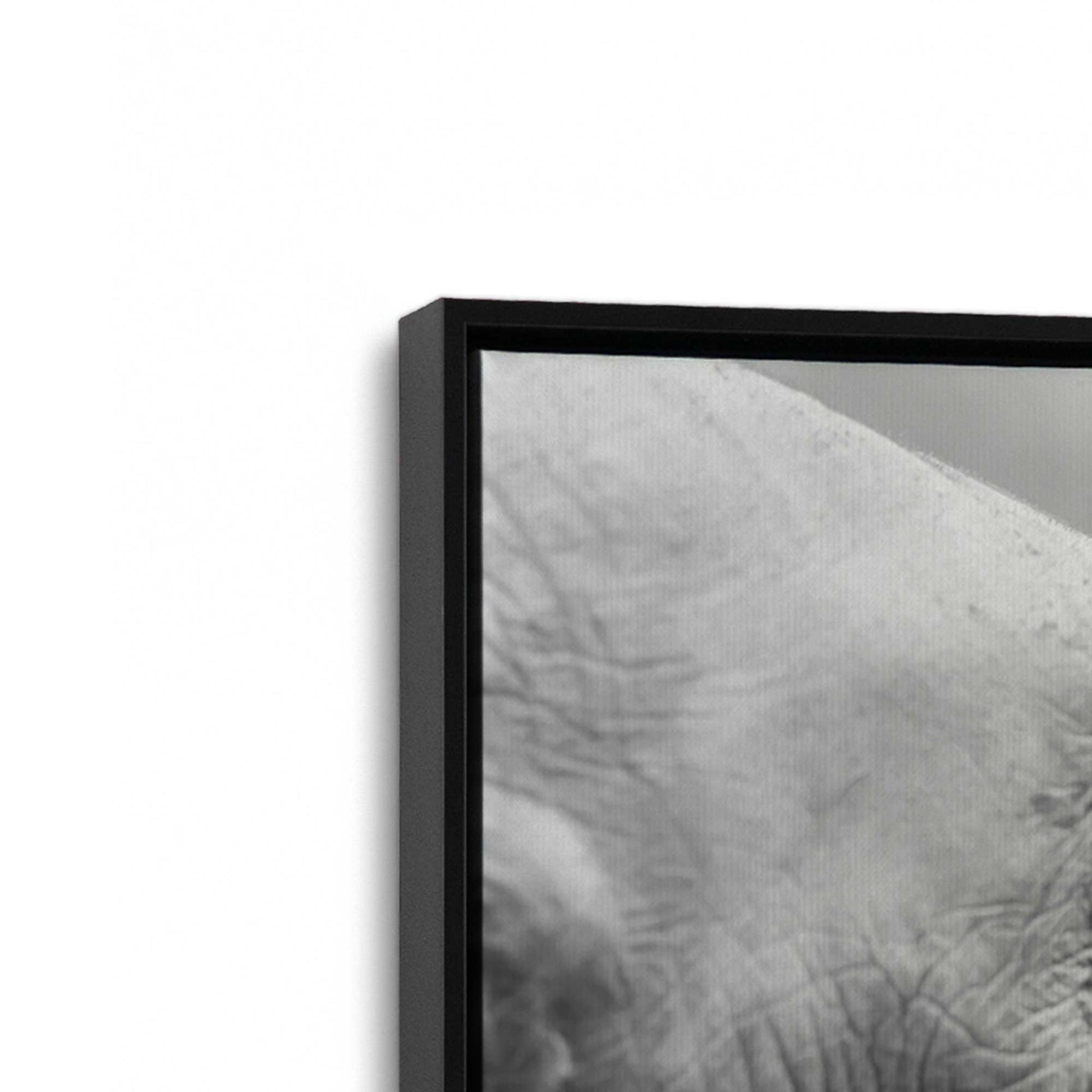 [Color:Satin Black], Picture of art in a Satin Black frame at an angle