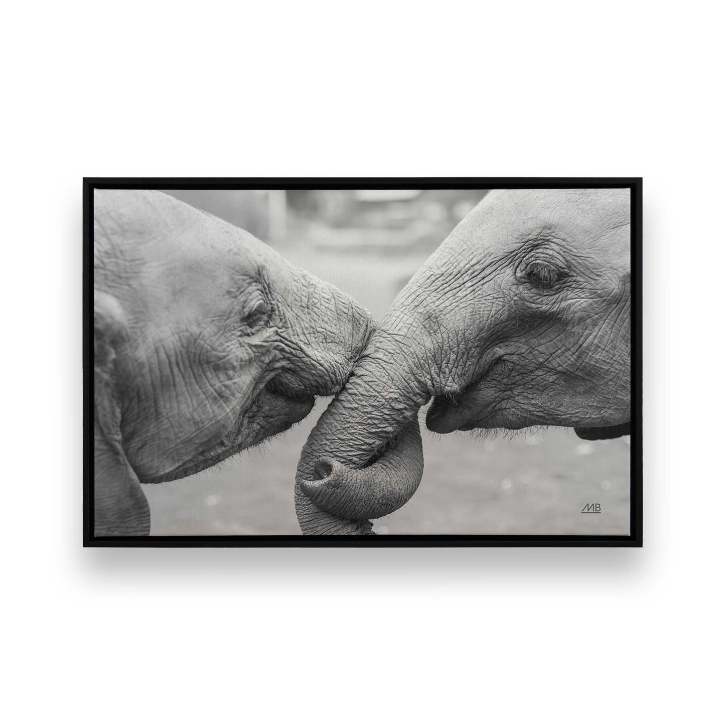 [Color:Satin Black], Picture of art in a Satin Black frame