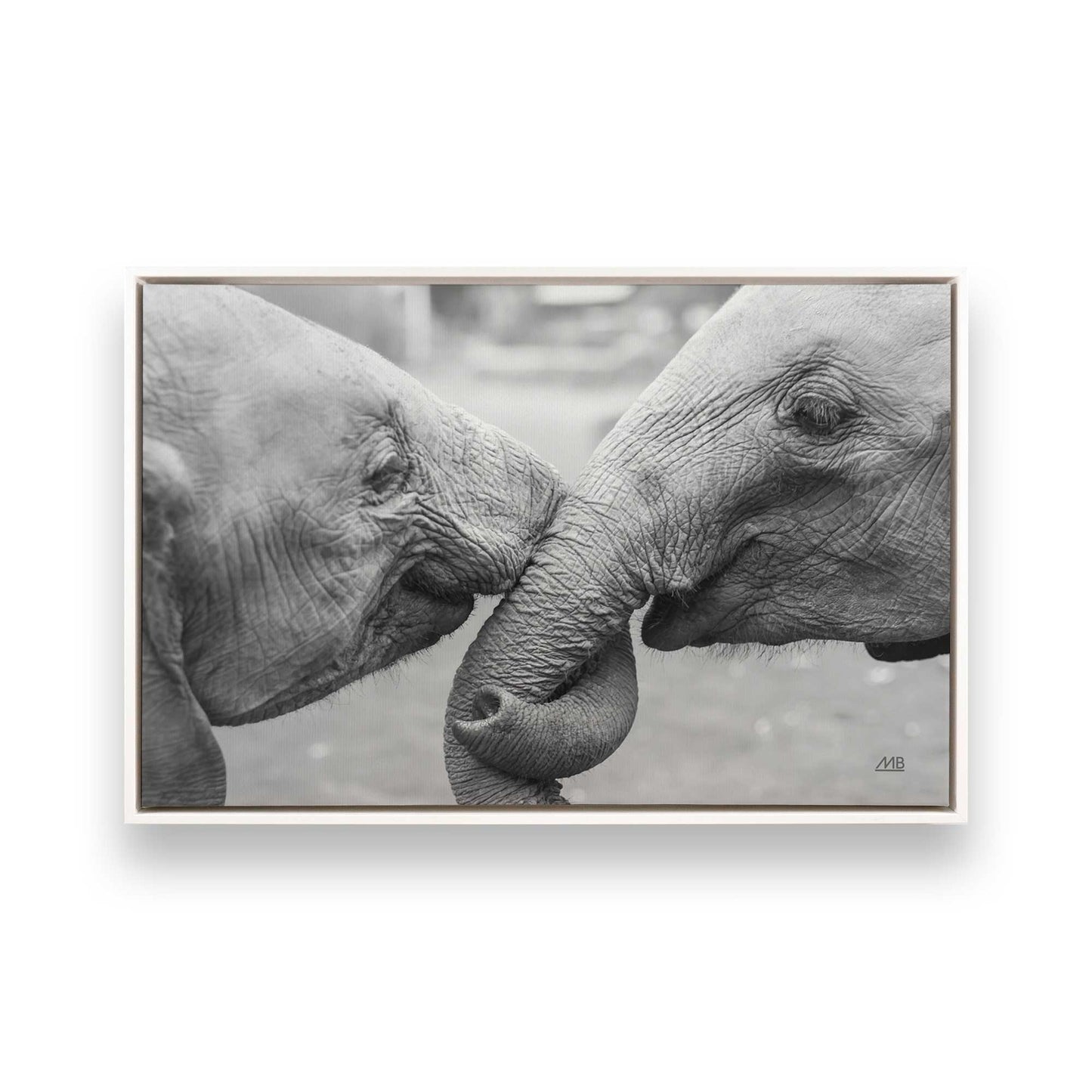[Color:Opaque White], Picture of art in a White frame
