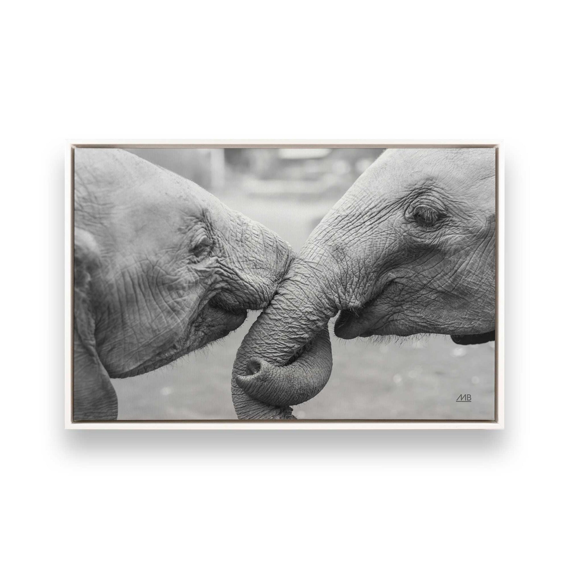 [Color:Opaque White], Picture of art in a White frame