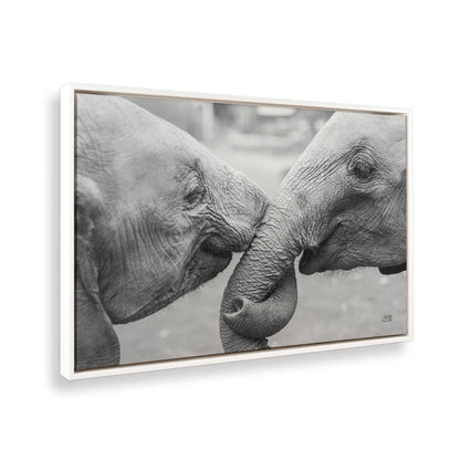 [Color:Opaque White], Picture of the corner of the art