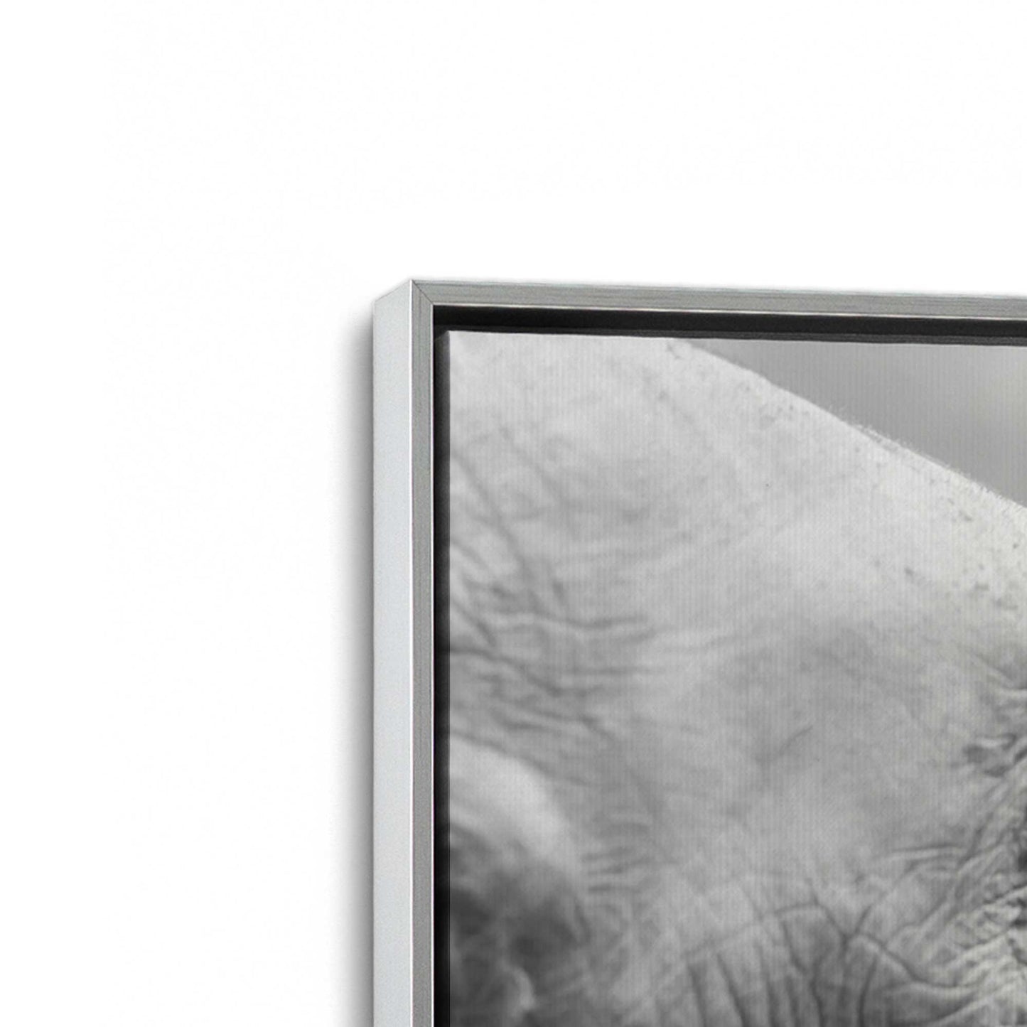 [Color:Polished Chrome], Picture of art in a Polished Chrome frame at an angle