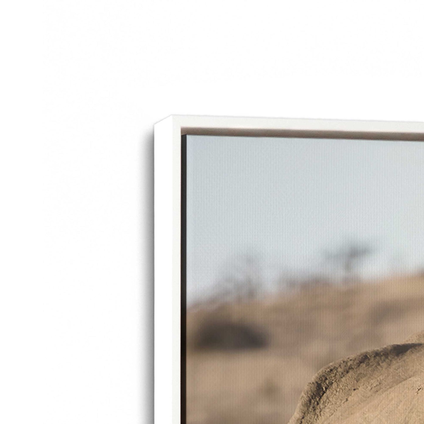 [Color:Opaque White], Picture of art in a White frame at an angle