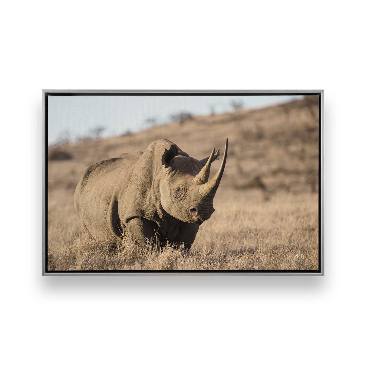 [Color:Polished Chrome], Picture of art in a Polished Chrome frame