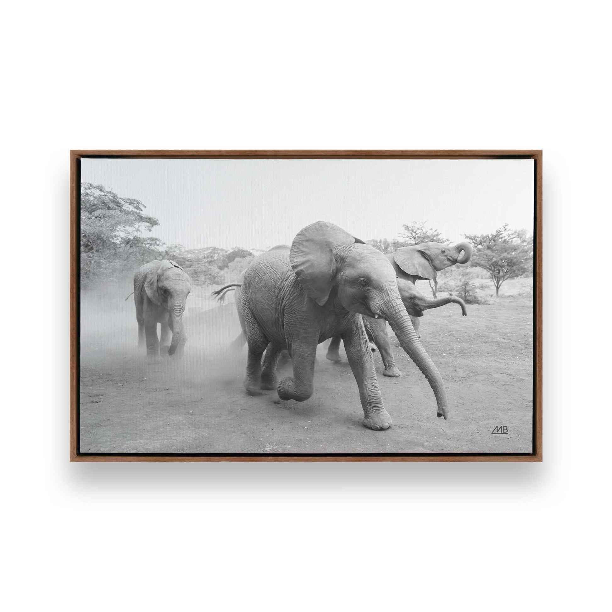 [Color:Walnut], Picture of art in a Walnut frame