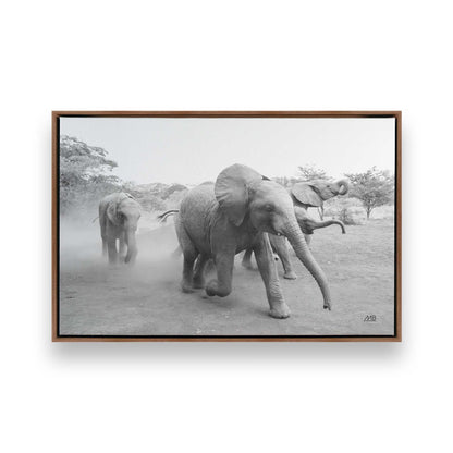 [Color:Walnut], Picture of art in a Walnut frame
