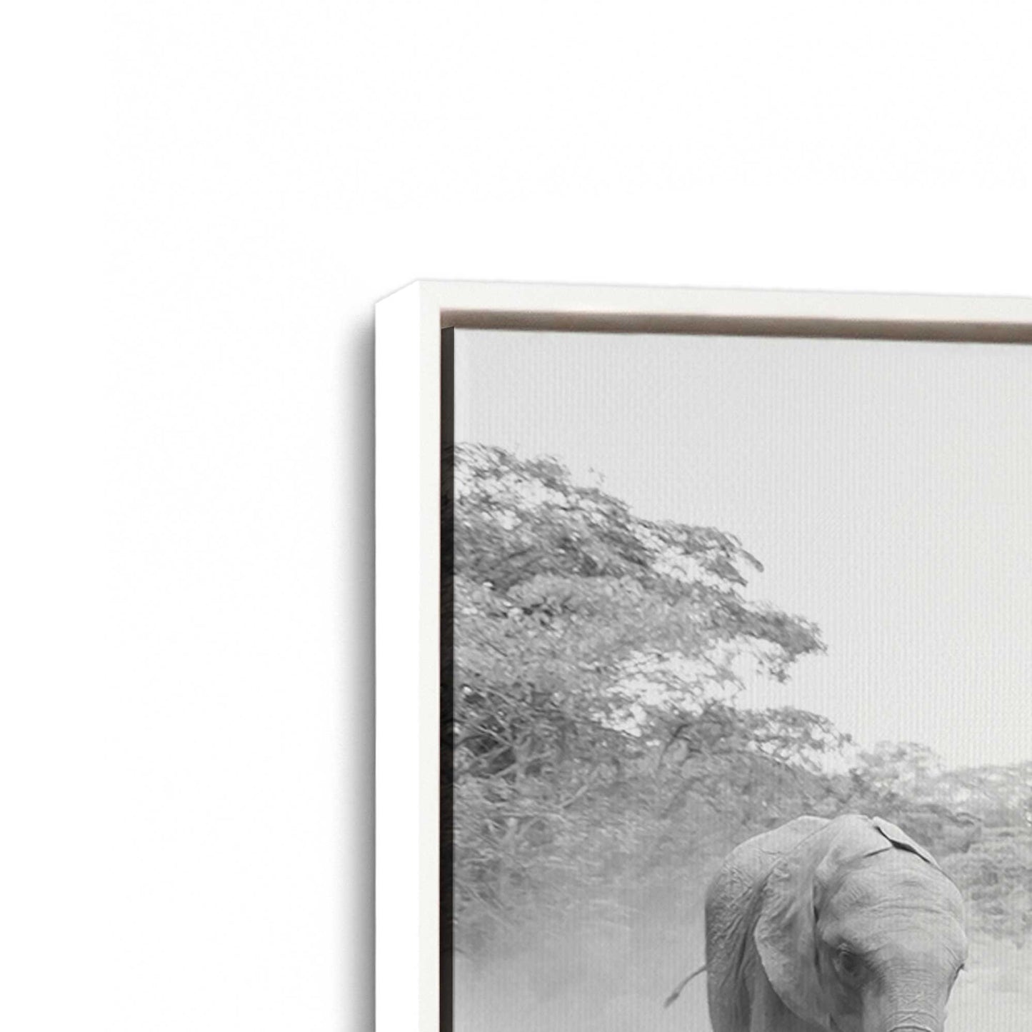 [Color:Opaque White], Picture of art in a White frame at an angle