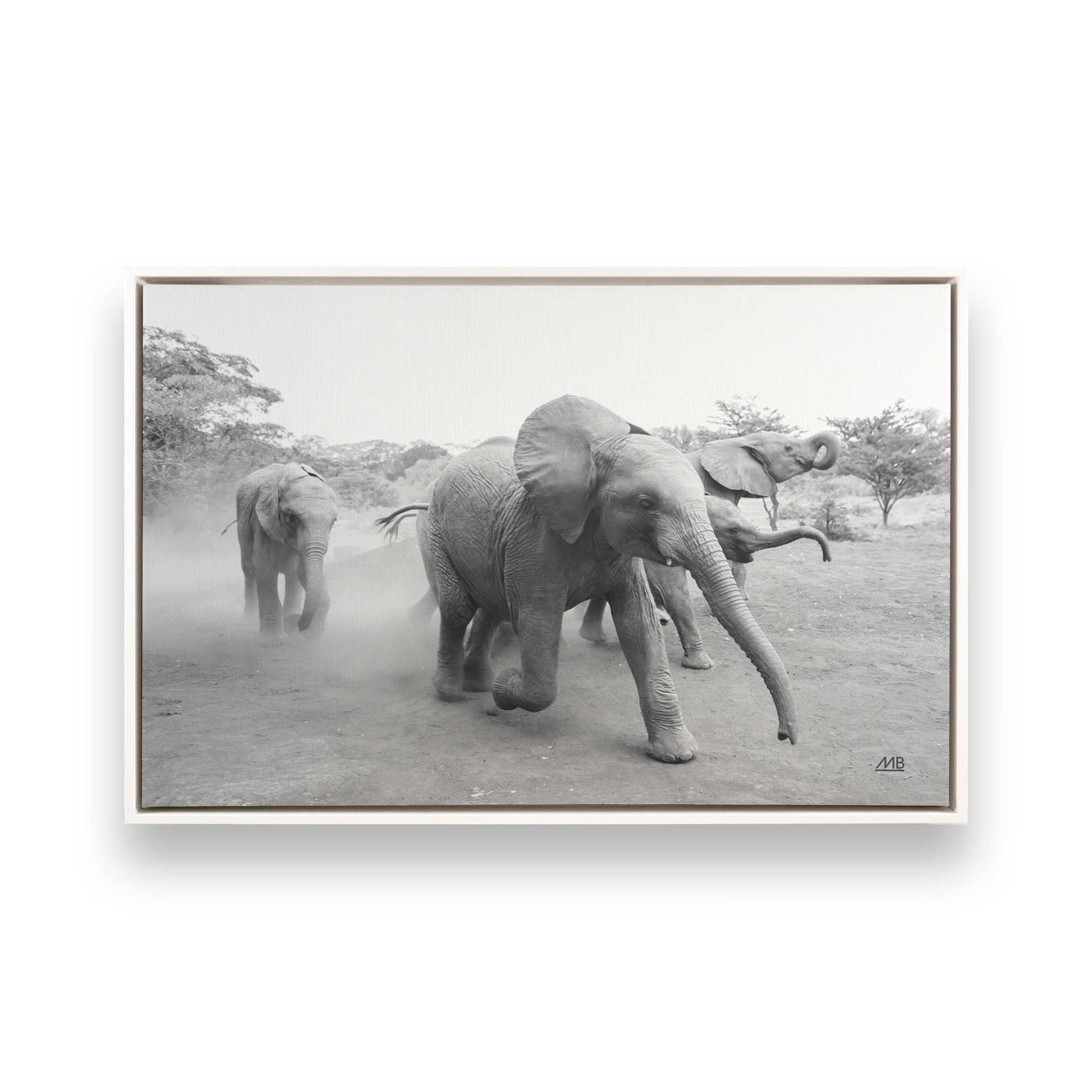 [Color:Opaque White], Picture of art in a White frame