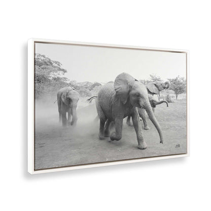 [Color:Opaque White], Picture of the corner of the art