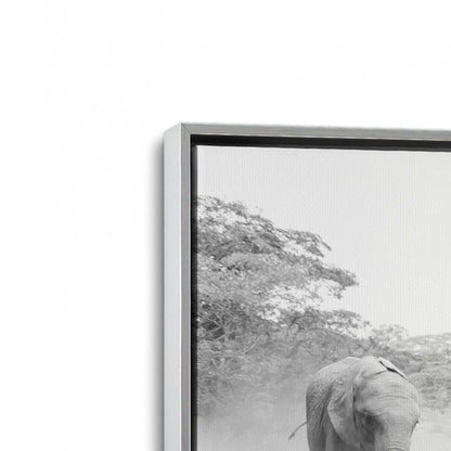 [Color:Polished Chrome], Picture of art in a Polished Chrome frame at an angle