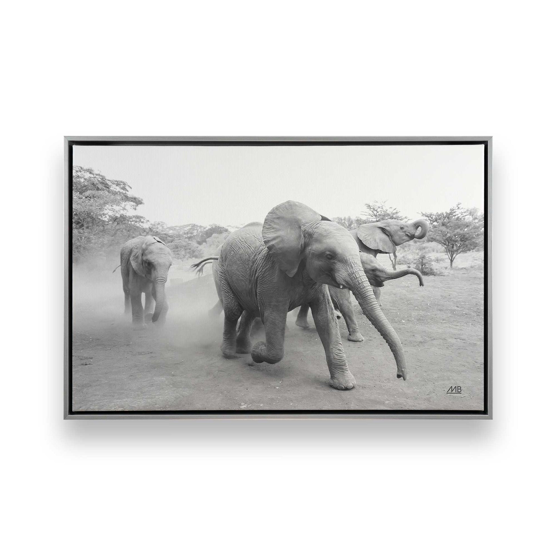 [Color:Polished Chrome], Picture of art in a Polished Chrome frame
