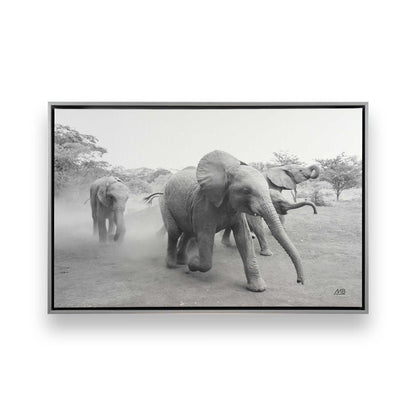 [Color:Polished Chrome], Picture of art in a Polished Chrome frame