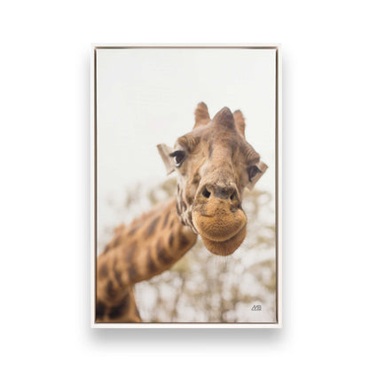 [Color:Opaque White], Picture of art in a White frame