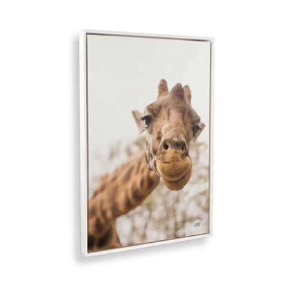 [Color:Opaque White], Picture of the corner of the art