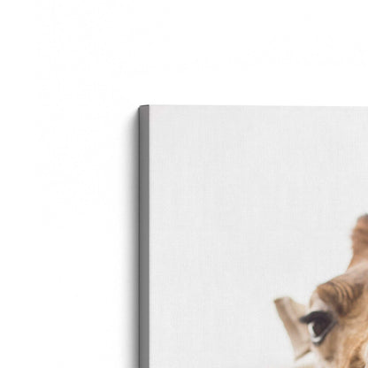 [Color:Stretched Canvas], Picture of the corner of the art