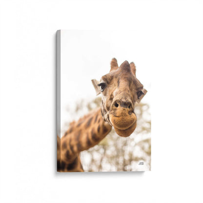 [Color:Stretched Canvas], Picture of art at an angle