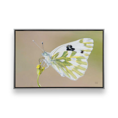 [Color:Polished Chrome], Picture of art in a Polished Chrome frame