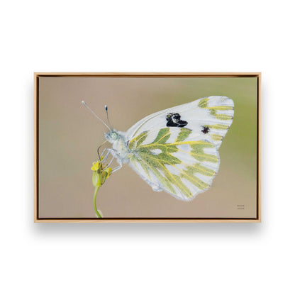 [Color:American Maple], Picture of art in a American Maple frame