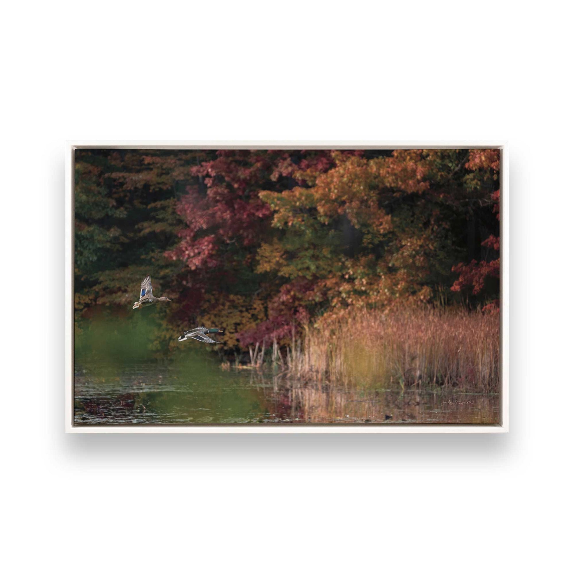 [Color:Opaque White], Picture of art in a White frame