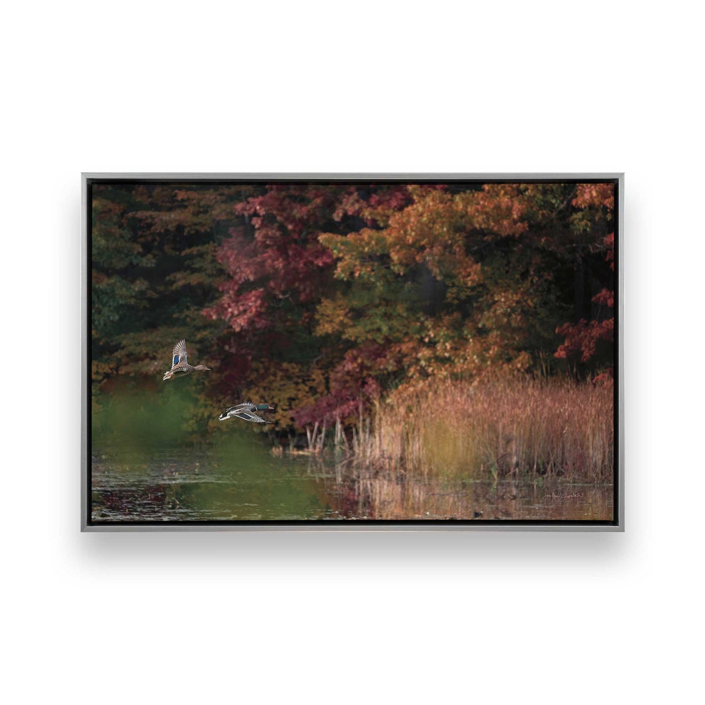 [Color:Polished Chrome], Picture of art in a Polished Chrome frame