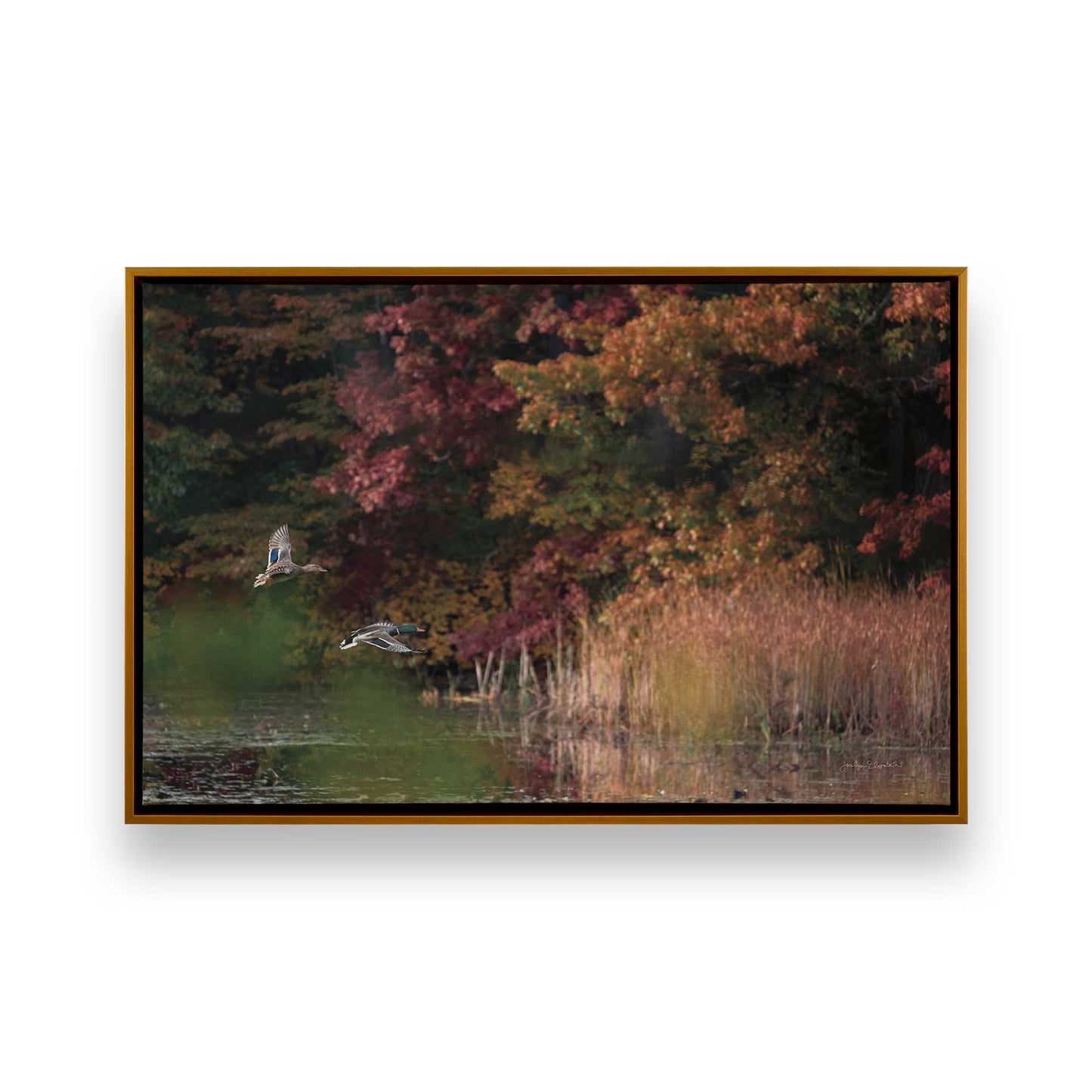 [Color:Polished Gold], Picture of art in a Polished Gold frame