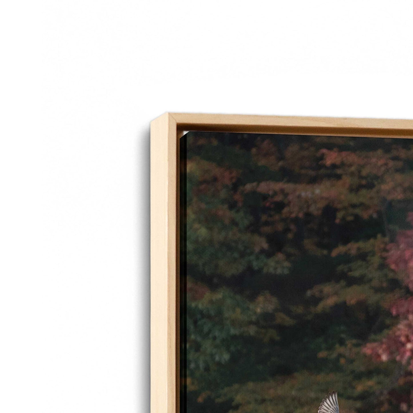 [Color:American Maple], Picture of art in a American Maple frame at an angle