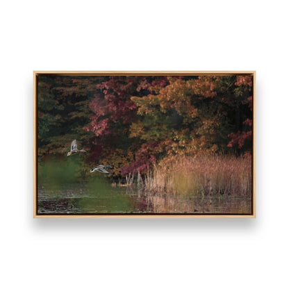 [Color:American Maple], Picture of art in a American Maple frame