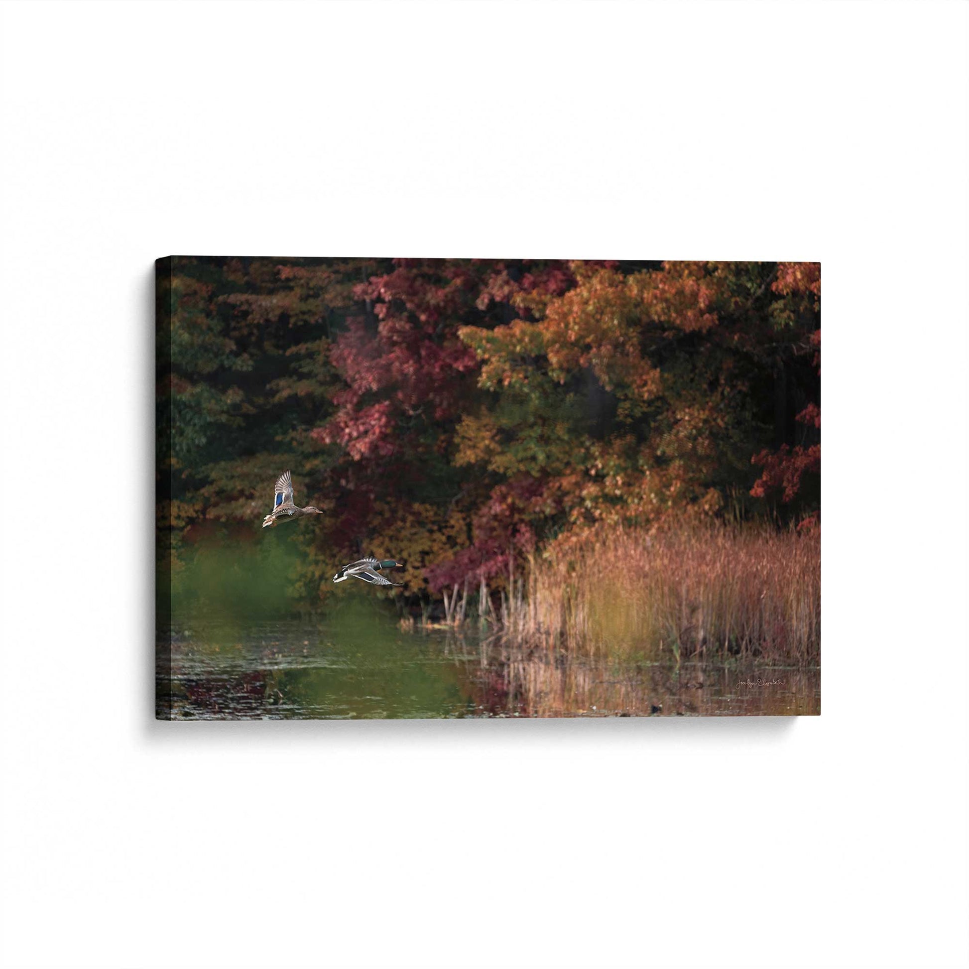 [Color:Stretched Canvas], Picture of art at an angle