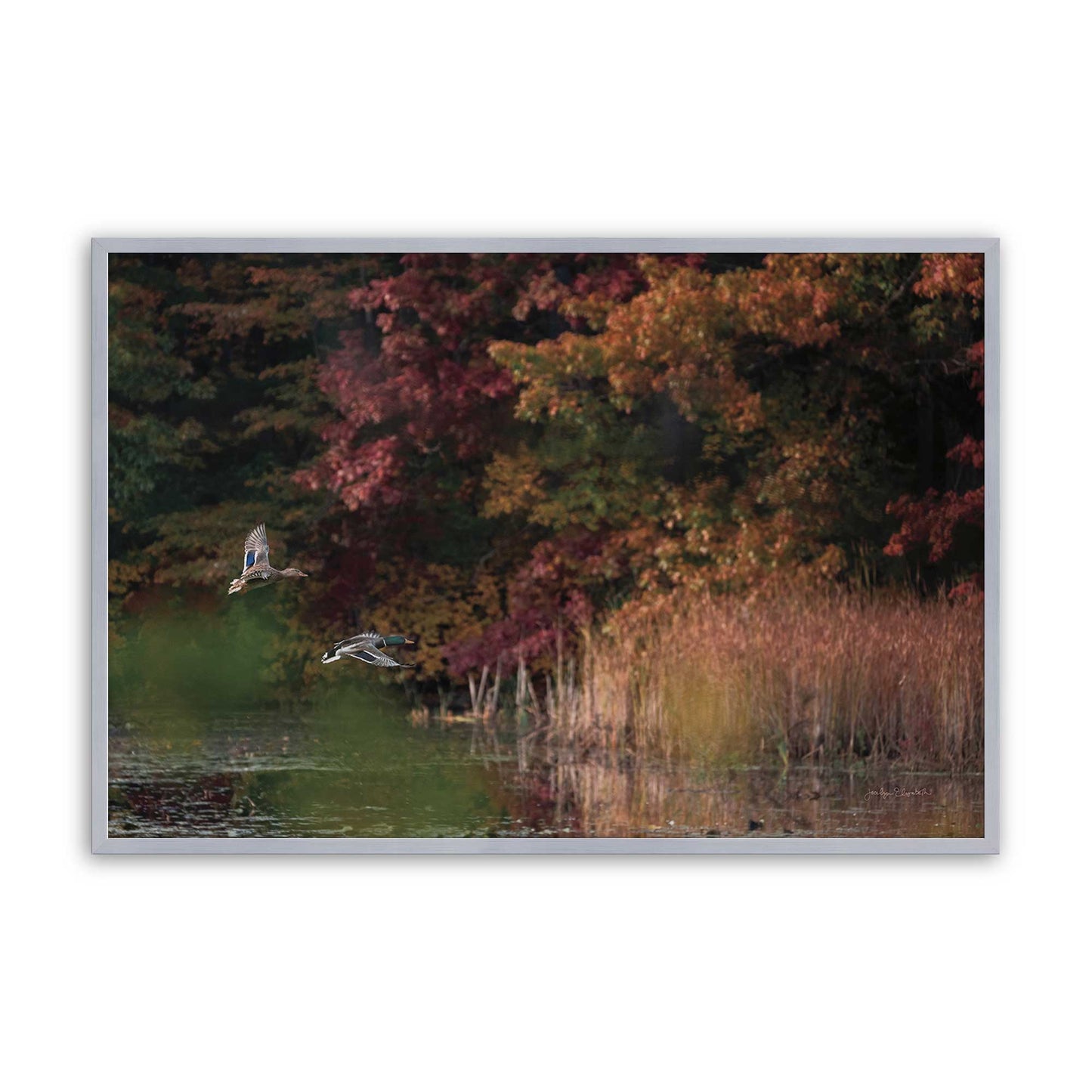 [Color:Polished Chrome], Picture of art in a Polished Chrome frame