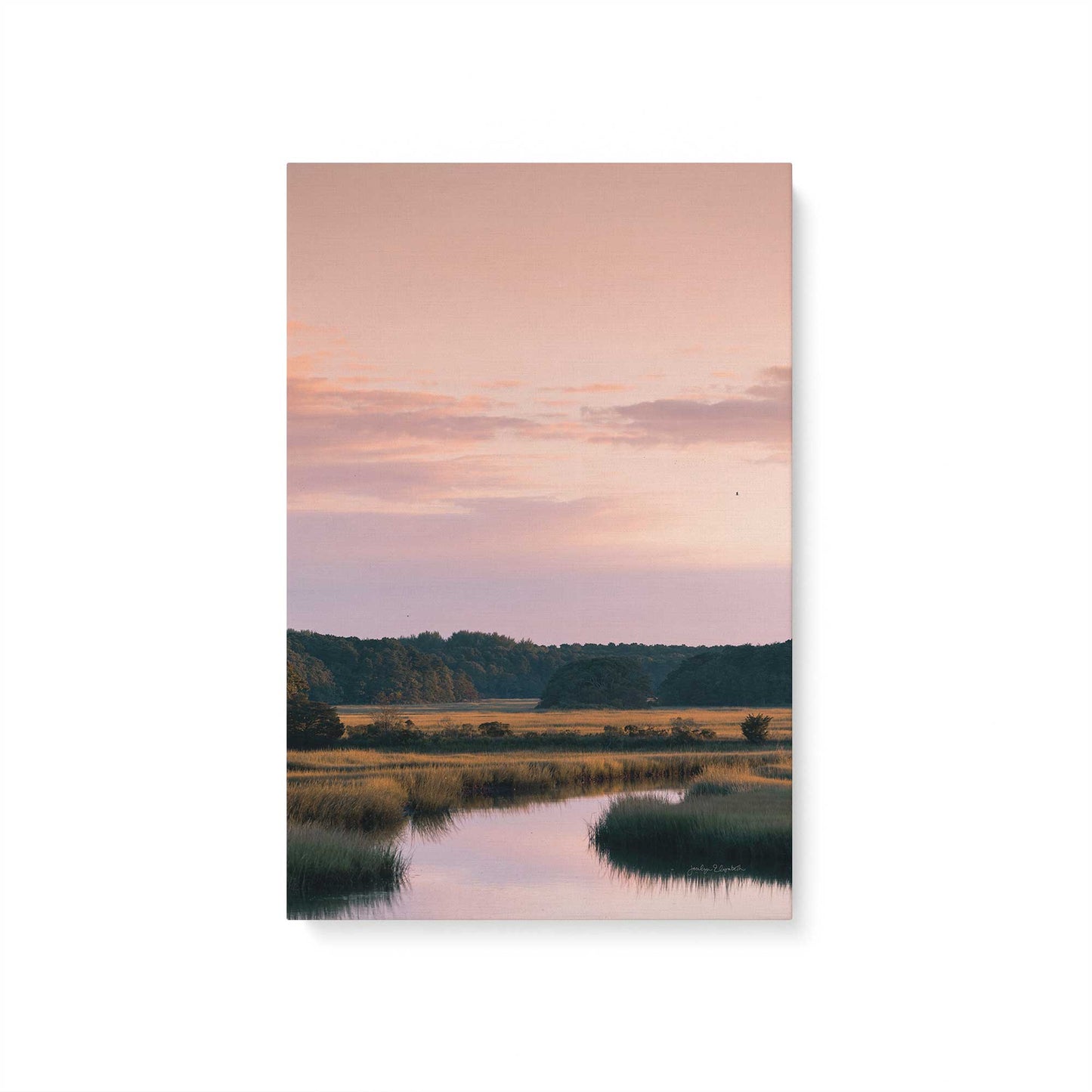 [Color:Stretched Canvas], Picture of art