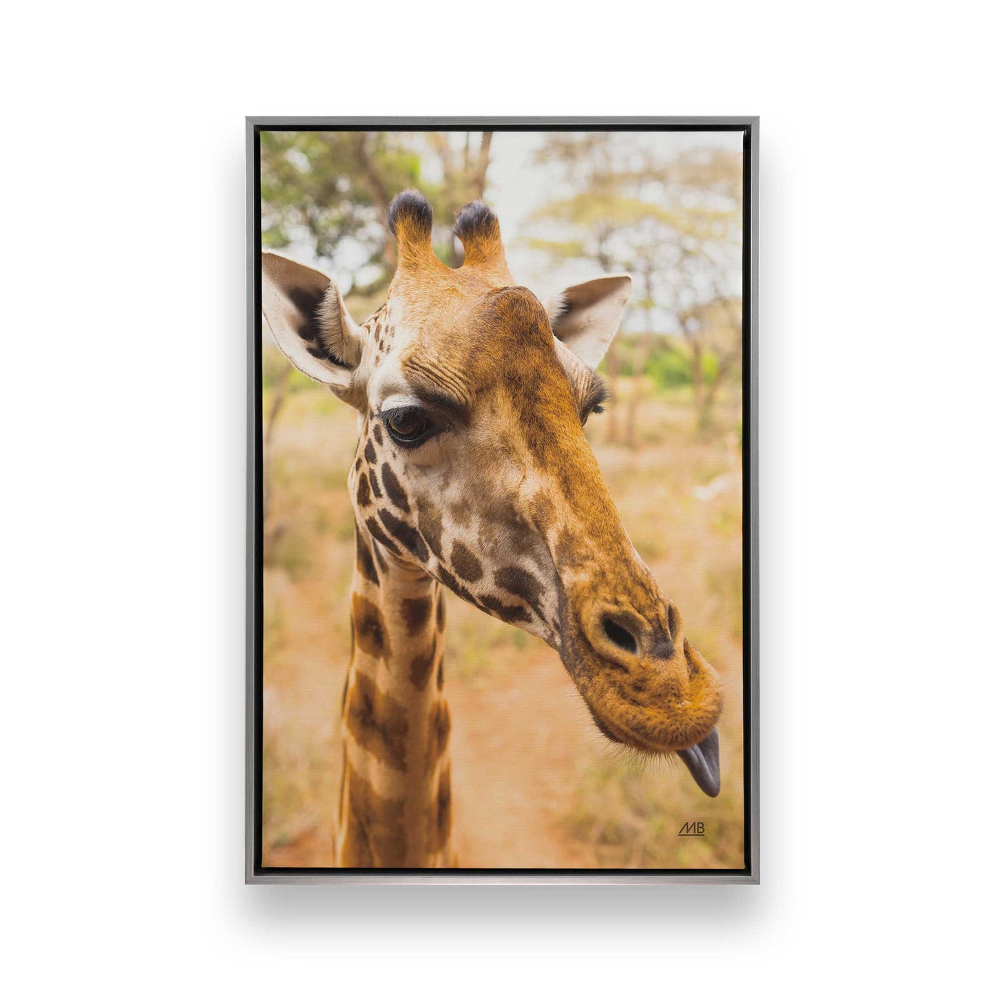 [Color:Polished Chrome], Picture of art in a Polished Chrome frame