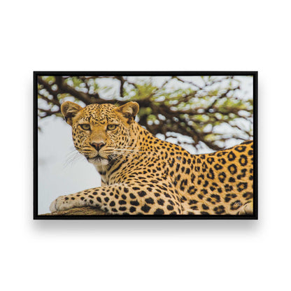 [Color:Satin Black], Picture of art in a Satin Black frame