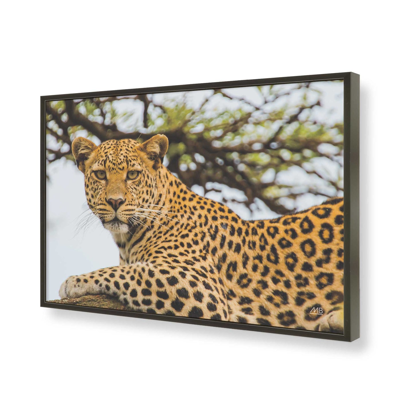 [Color:Satin Black], Picture of art in a Satin Black frame of the corner