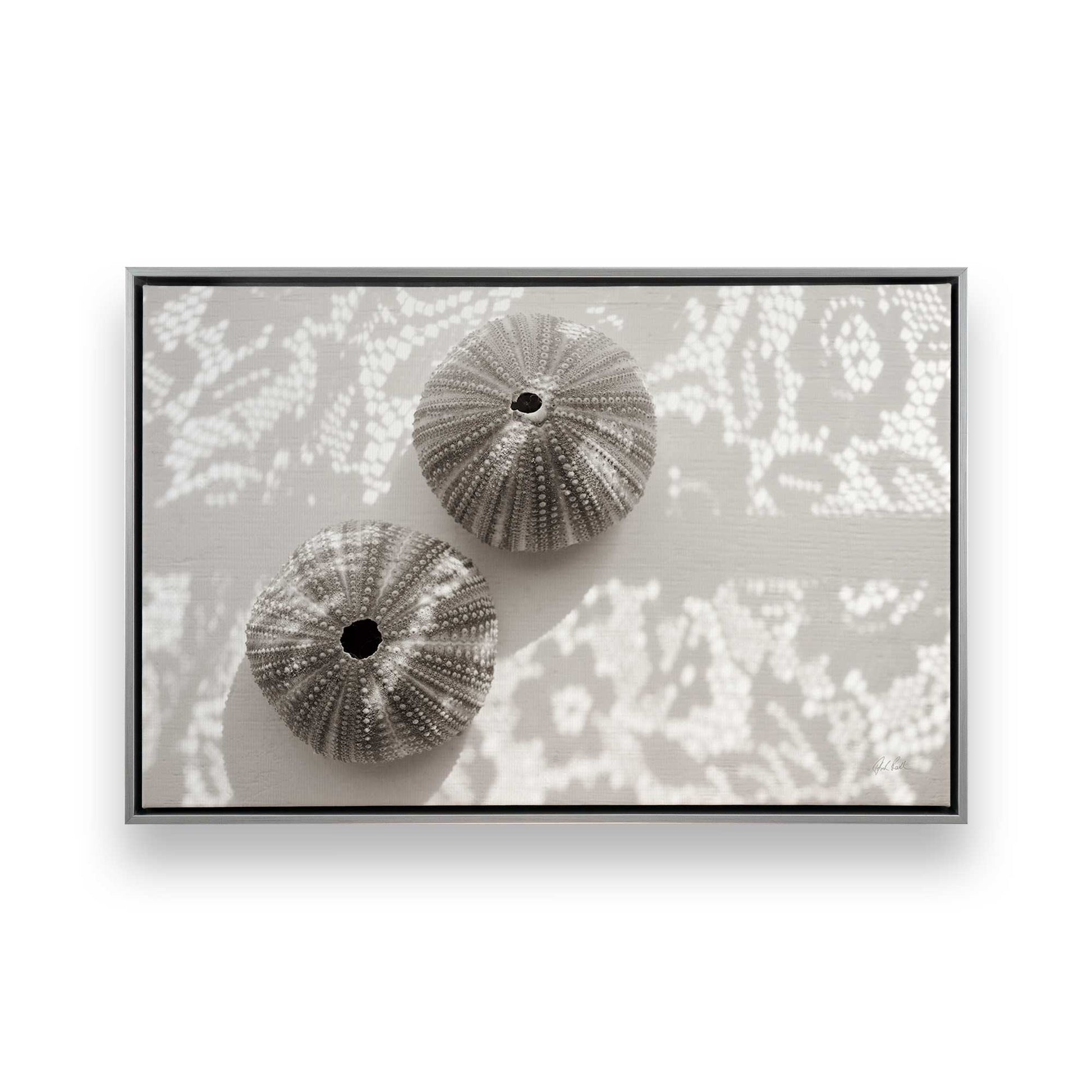 [Color:Polished Chrome], Picture of art in a Polished Chrome frame