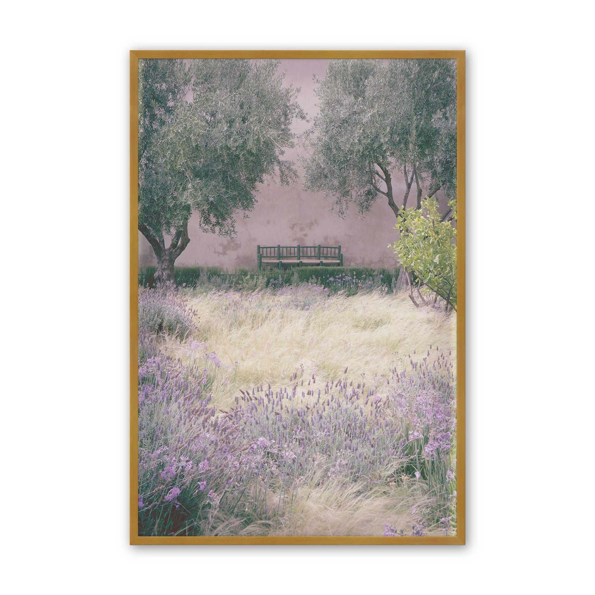 [Color:Polished Gold], Picture of art in a Polished Gold frame
