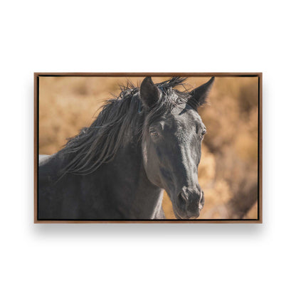 [Color:Walnut], Picture of art in a Walnut frame
