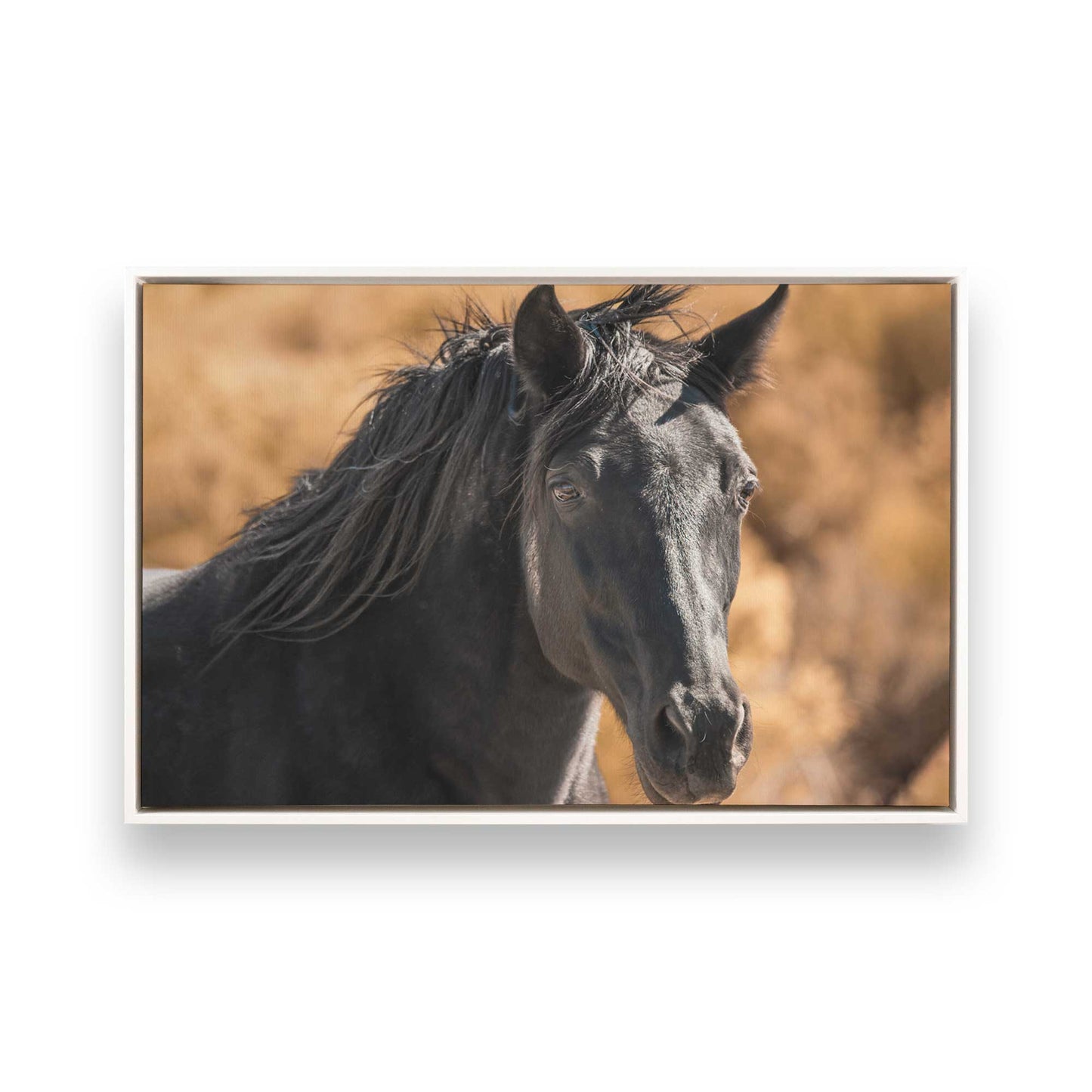 [Color:Opaque White], Picture of art in a White frame