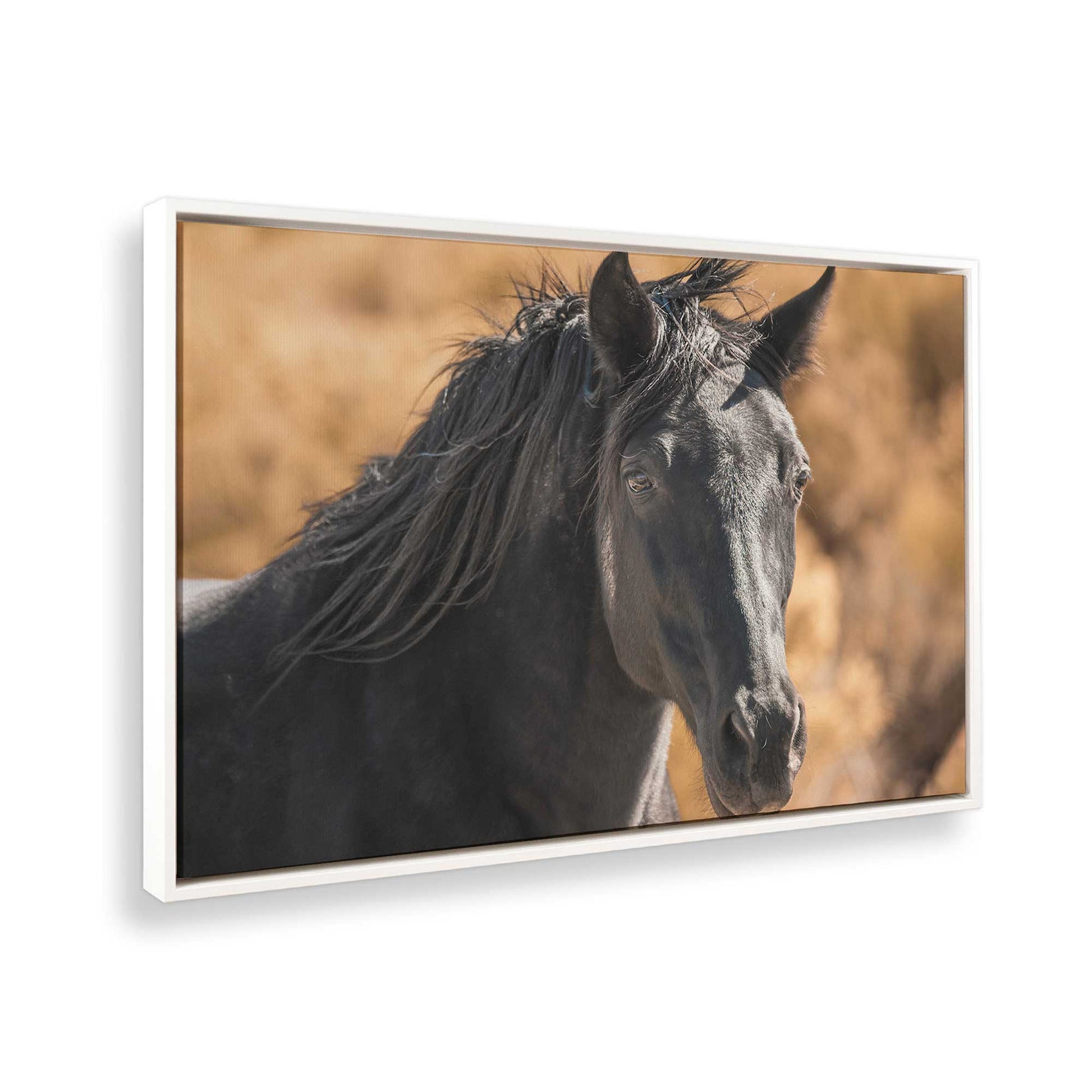 [Color:Opaque White], Picture of the corner of the art