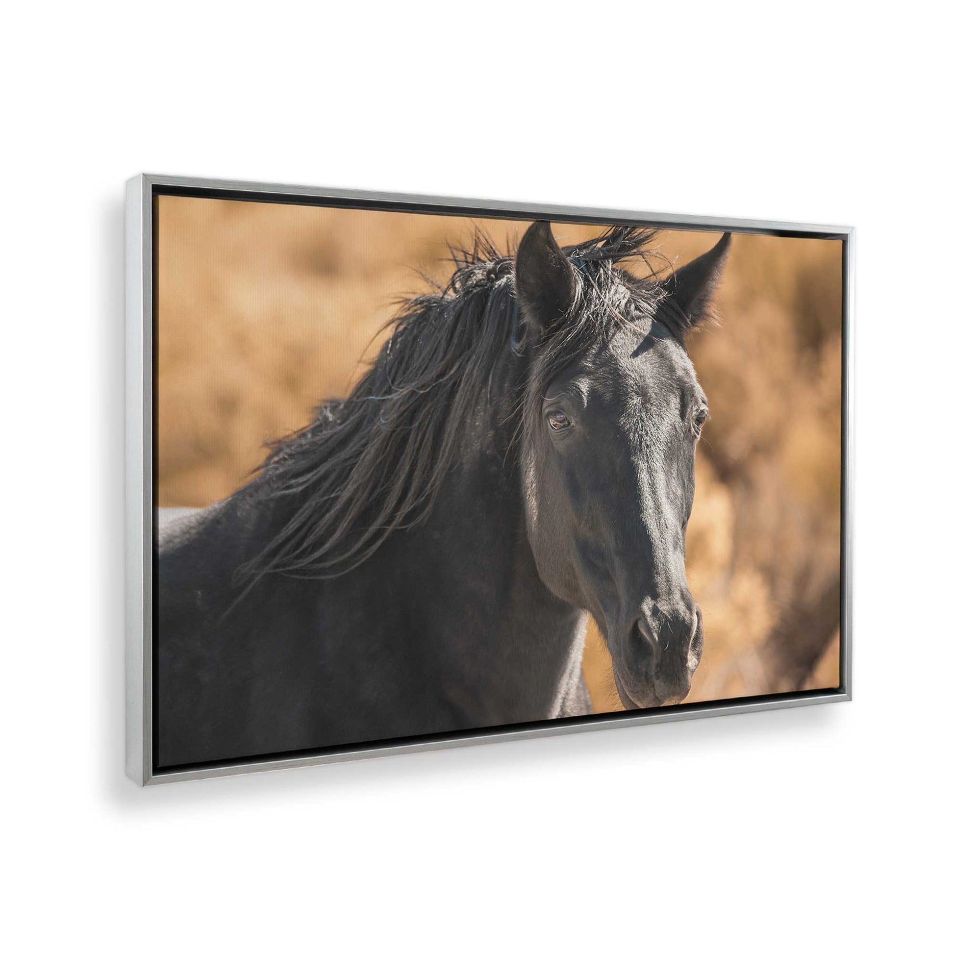 [Color:Polished Chrome], Picture of the corner of the art