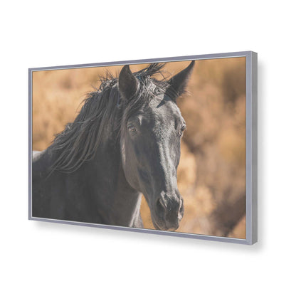[Color:Polished Chrome], Picture of art in a Polished Chrome frame of the corner