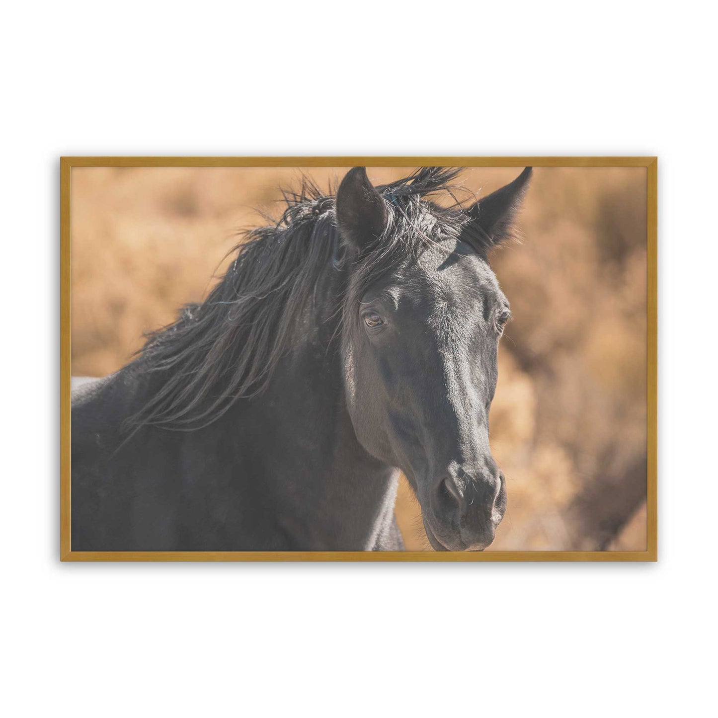 [Color:Polished Gold], Picture of art in a Polished Gold frame