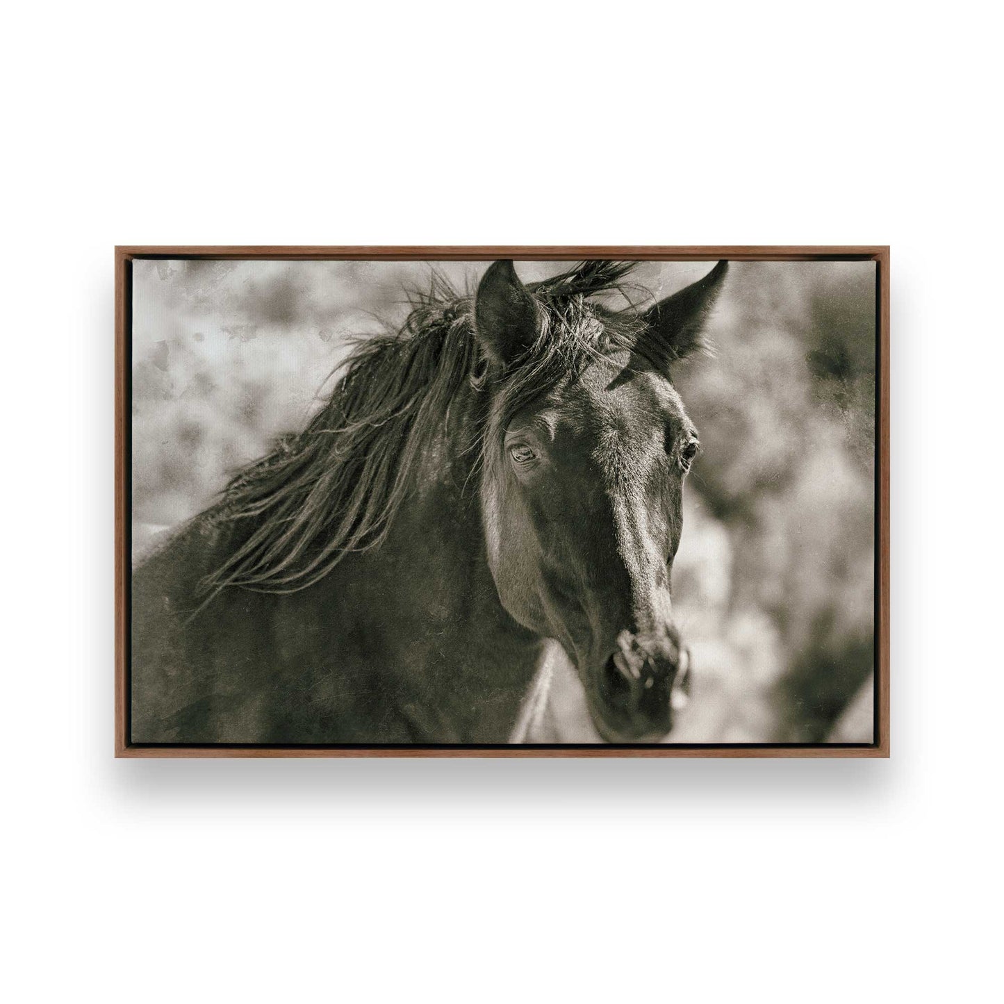 [Color:Walnut], Picture of art in a Walnut frame