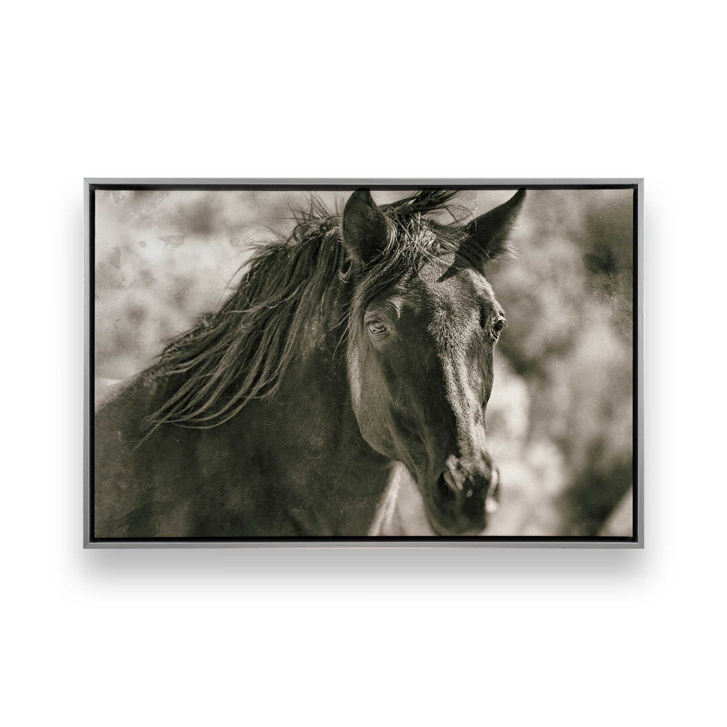 [Color:Polished Chrome], Picture of art in a Polished Chrome frame