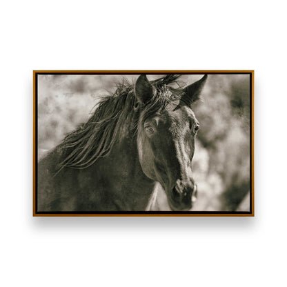 [Color:Polished Gold], Picture of art in a Polished Gold frame