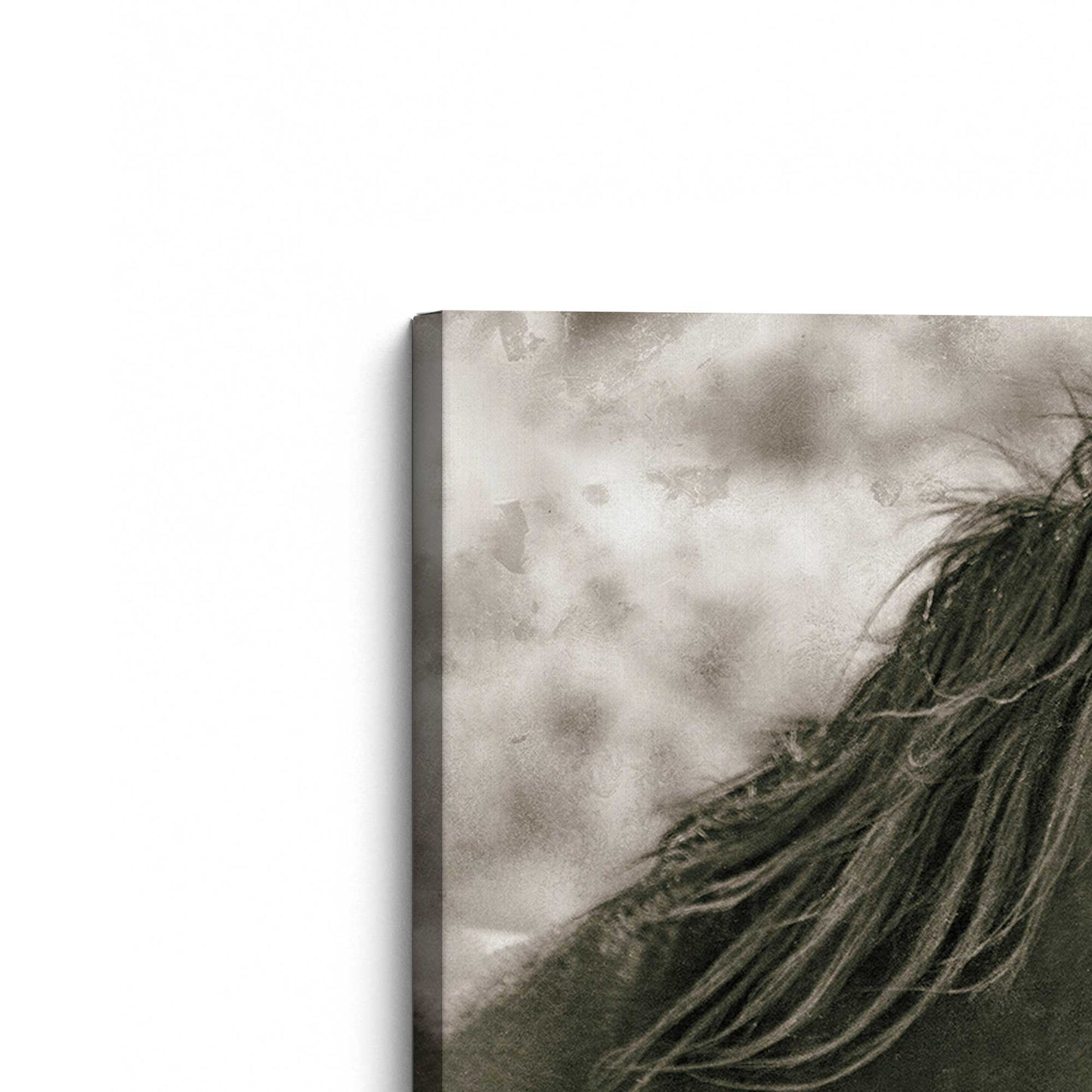[Color:Stretched Canvas], Picture of the corner of the art