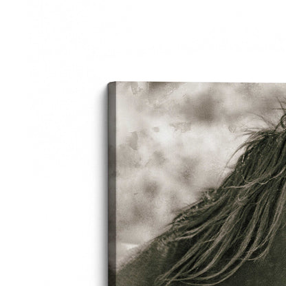 [Color:Stretched Canvas], Picture of the corner of the art
