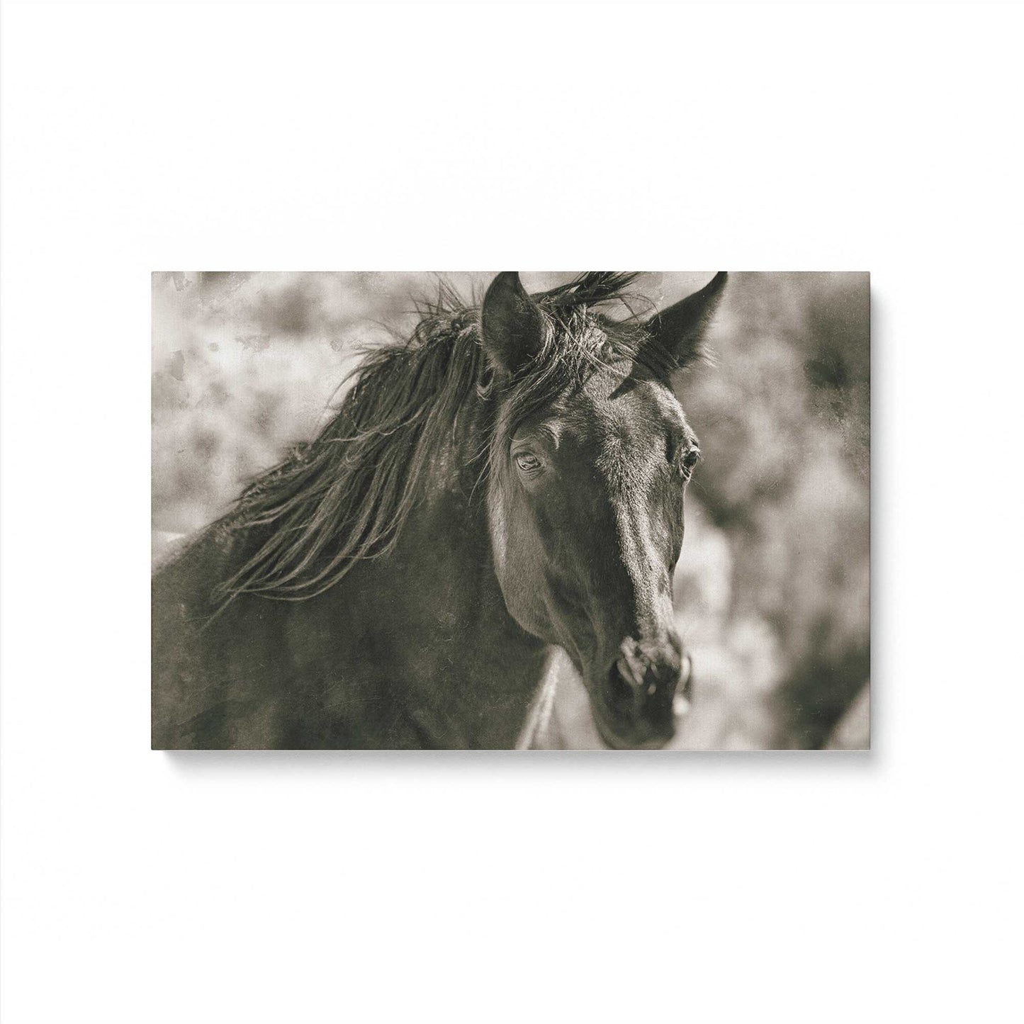 [Color:Stretched Canvas], Picture of art