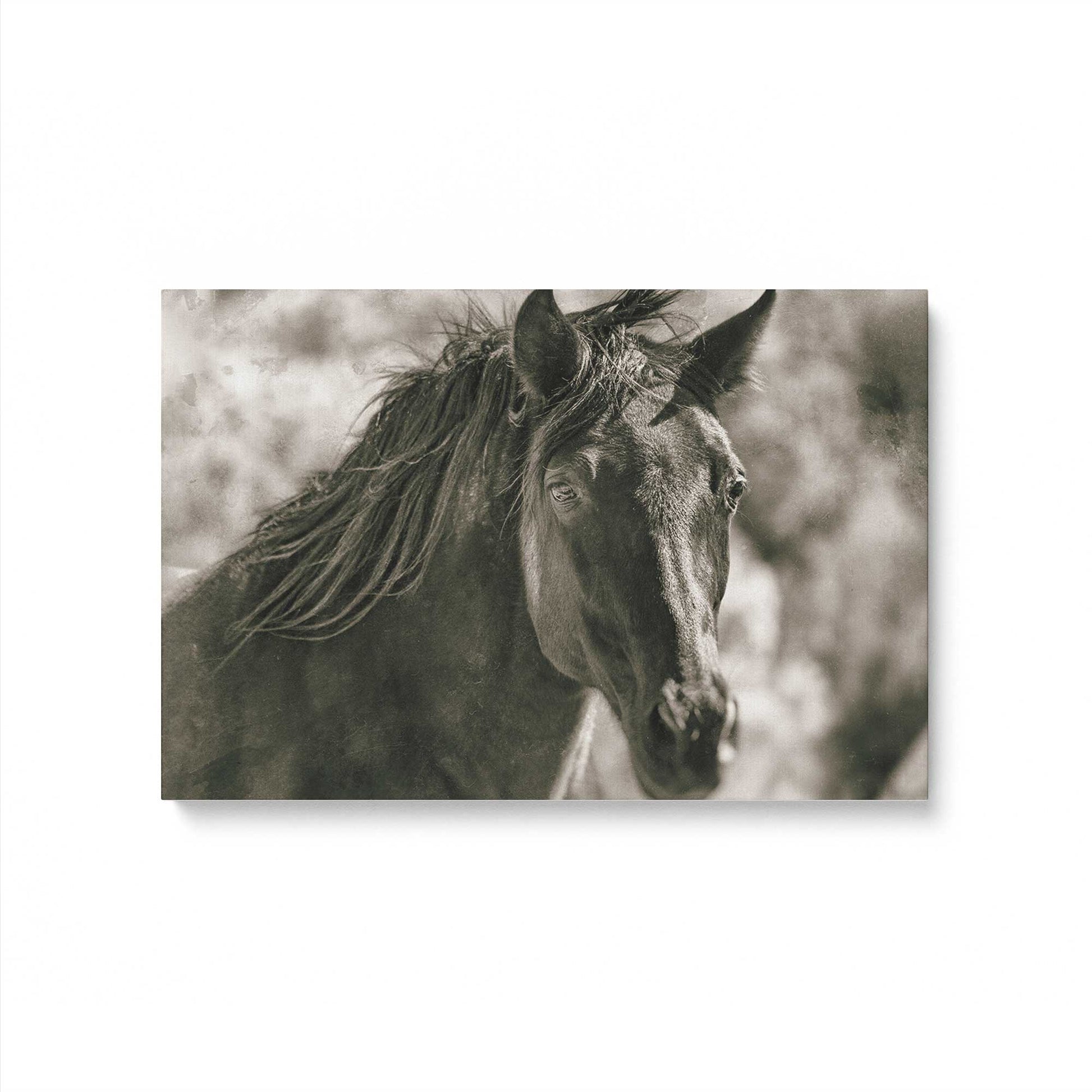 [Color:Stretched Canvas], Picture of art