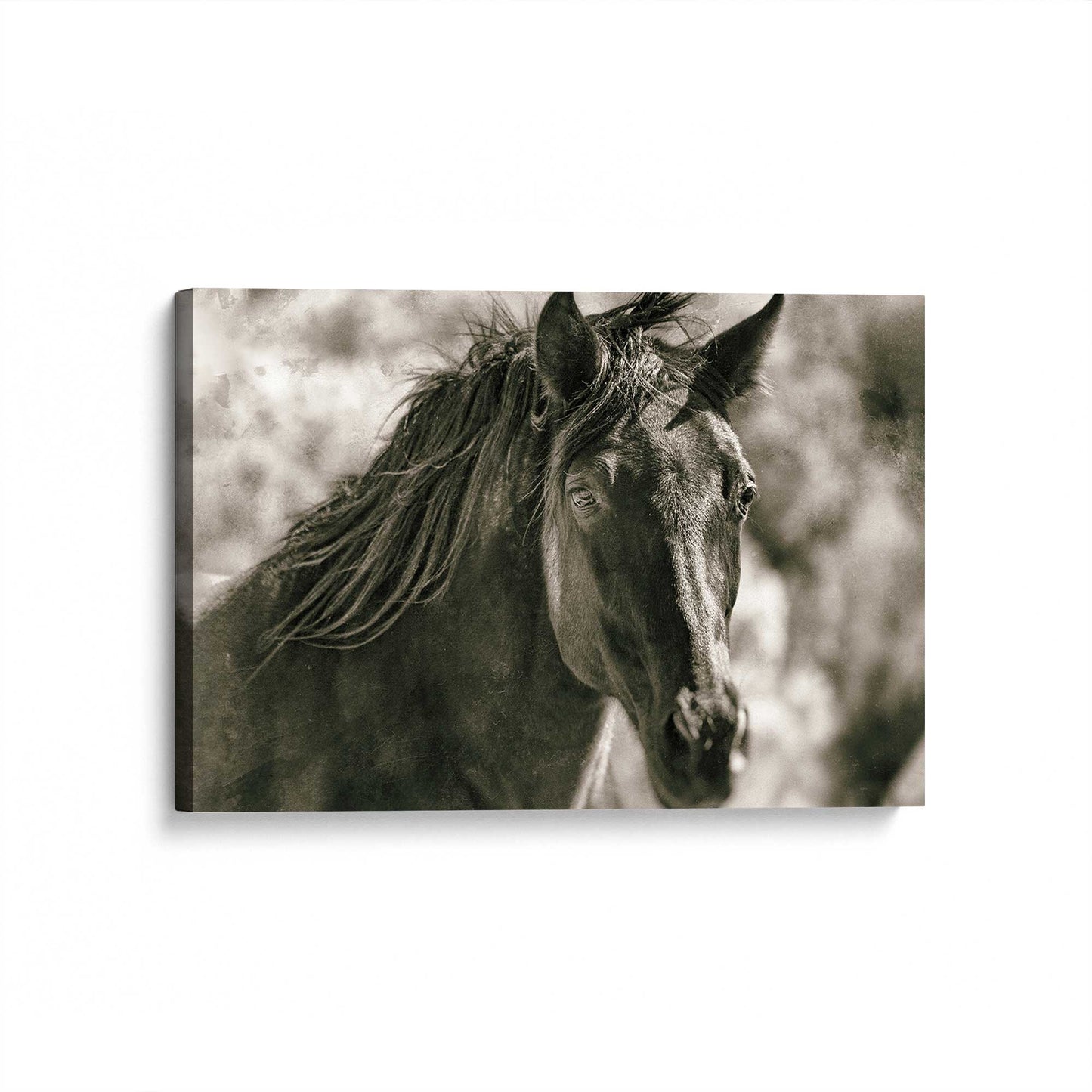 [Color:Stretched Canvas], Picture of art at an angle