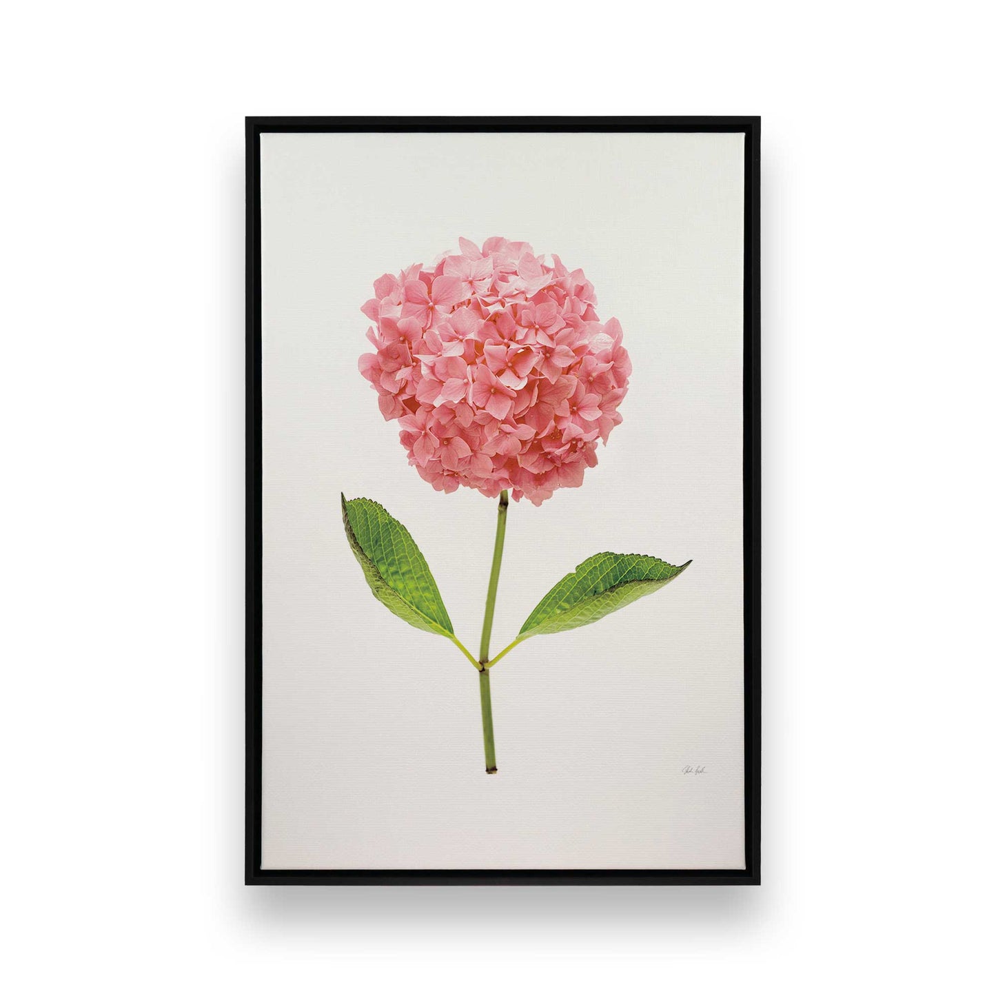 [Color:Satin Black], Picture of art in a Satin Black frame